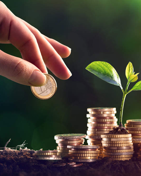 Buildind Construction and Contractors in Chennai